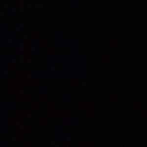 Meet your Posher, Robyn